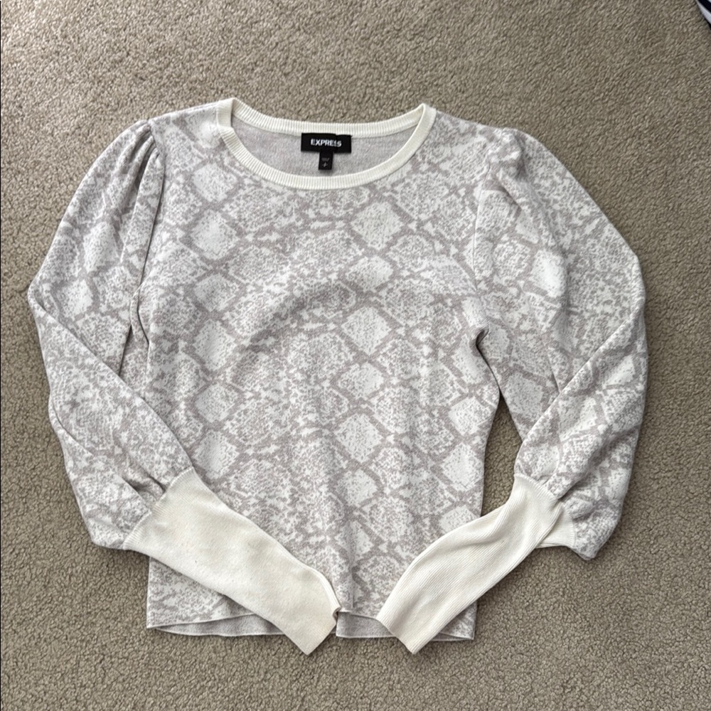 Express Snake Patterned sweater - Picture 2 of 4